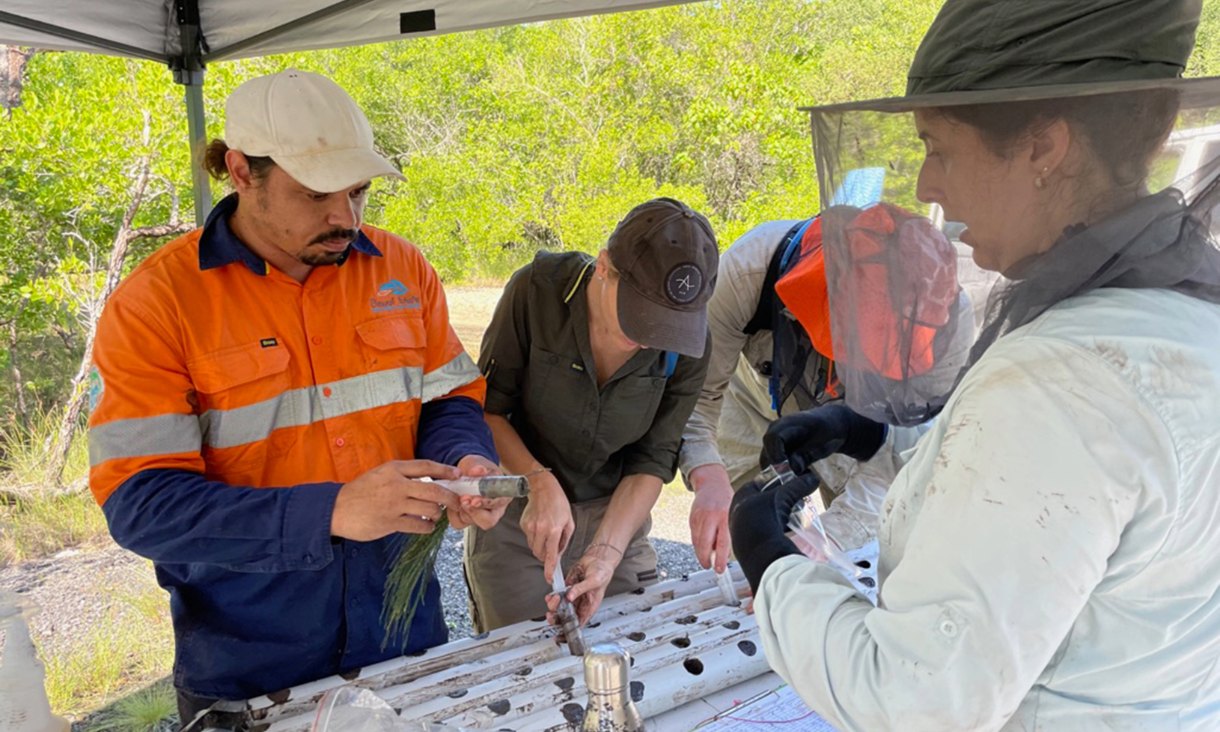 Gavin Singleton (left) from Dawul Wuru Aboriginal Corporation inspects a mangrove swamp mud sample with RMIT’s Dr Micheli Costa (right).