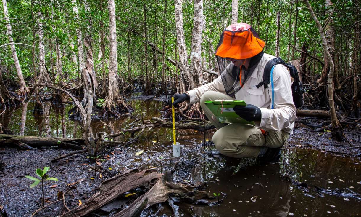 Taking sediment core samples to measure carbon sequestration.