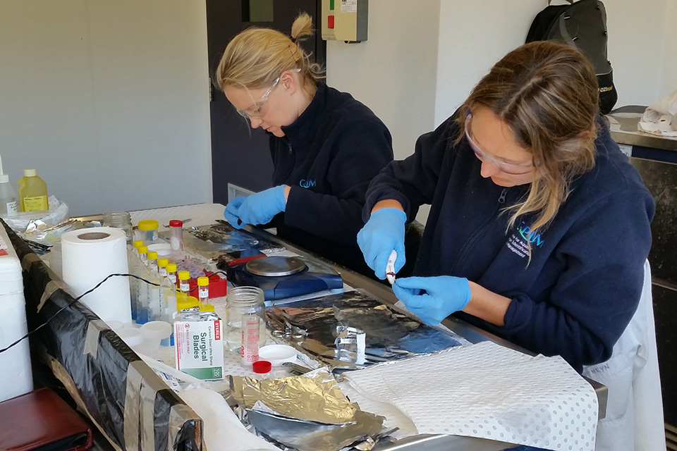 Laboratory preparation and analysis of samples