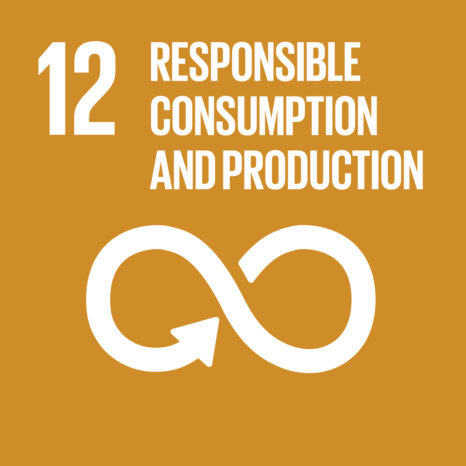 SDG Goal 12 - Responsible consumption and production sustainable development goal 12 icon responsible consumption and production