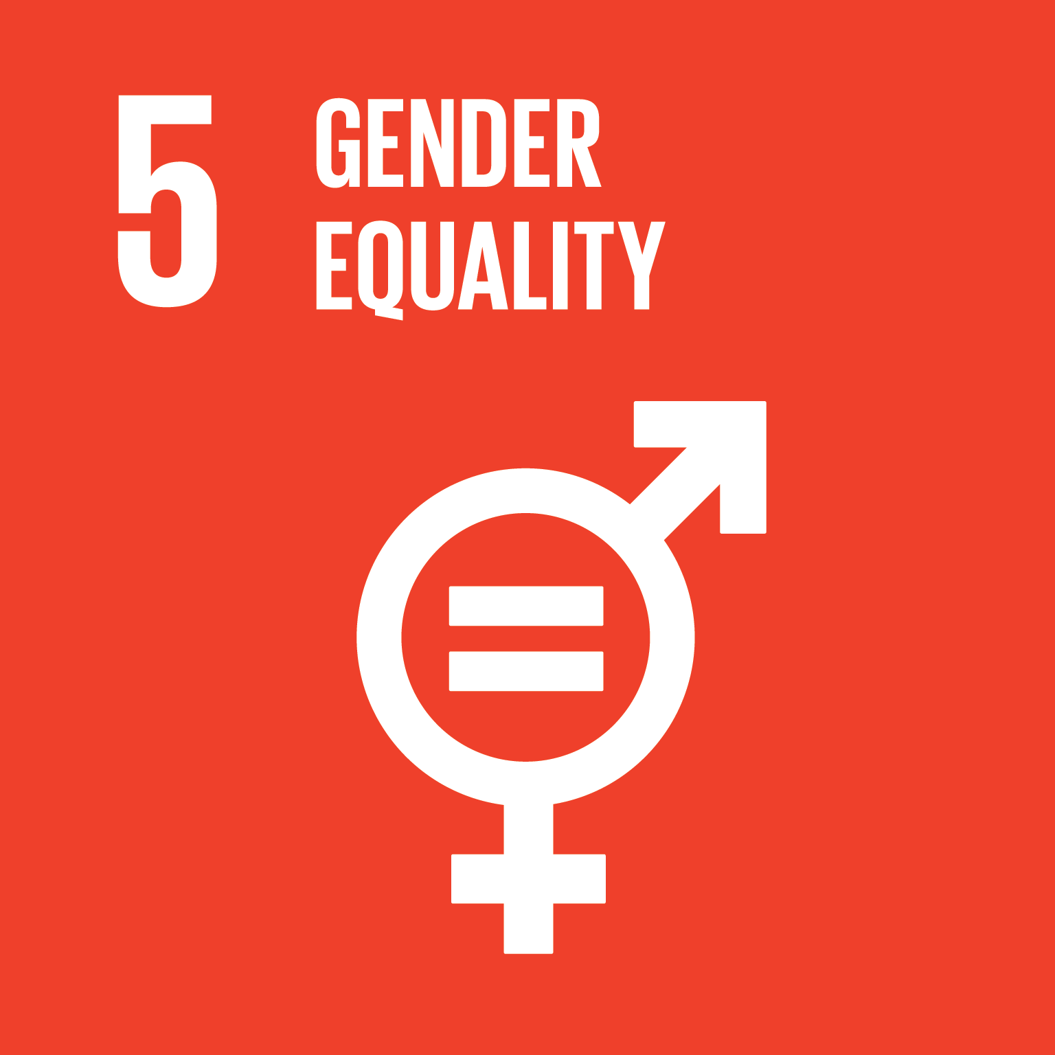 SDG Goal 5 - Gender equality sustainable development goal 5 icon gender equality
