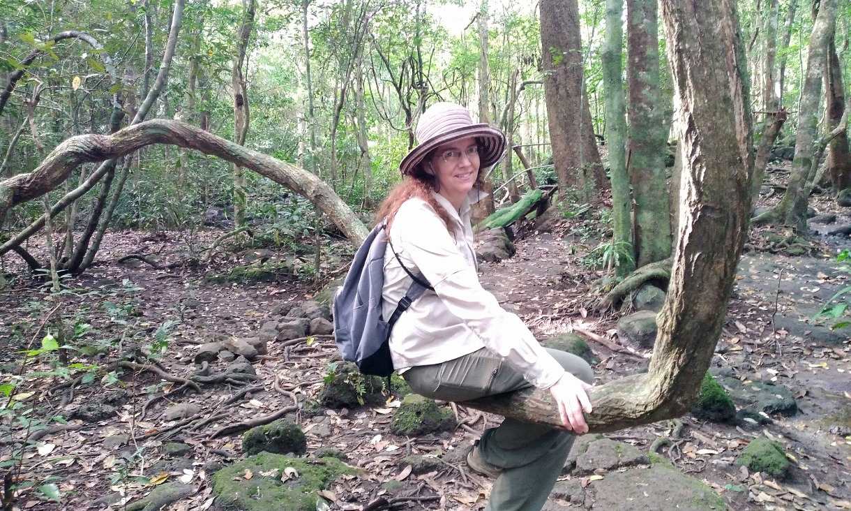 Dr Christa Beckmann and colleagues investigated how roadkill was being used globally for scientific research.