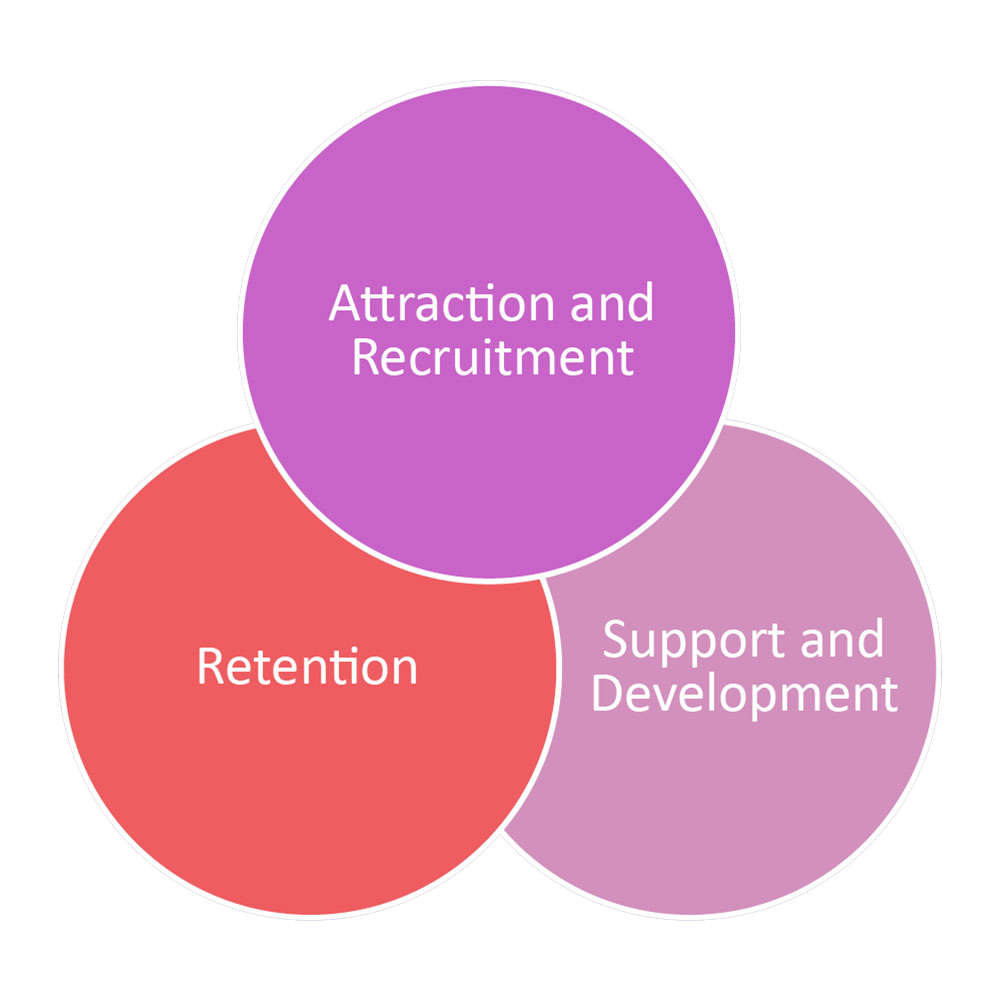 Venn diagram with Attraction and Recruitment, Retention and Support and Development