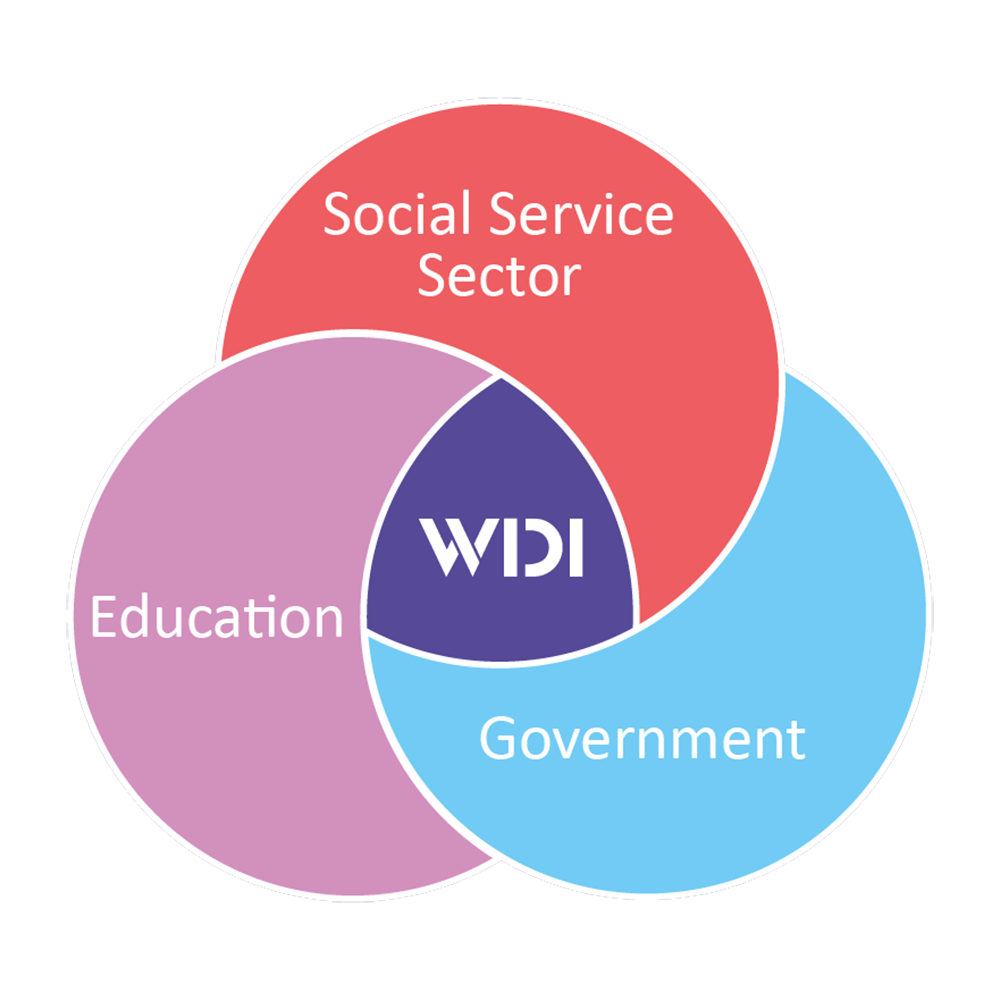 Ven diagram with Social Service Sector, Education and Government intersecting WIDI logo in the middle