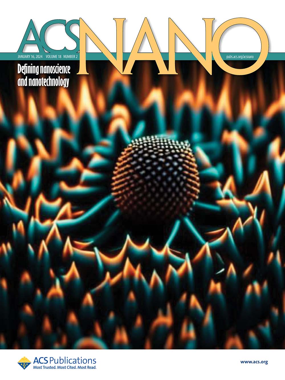 Journal cover on ACS Nano