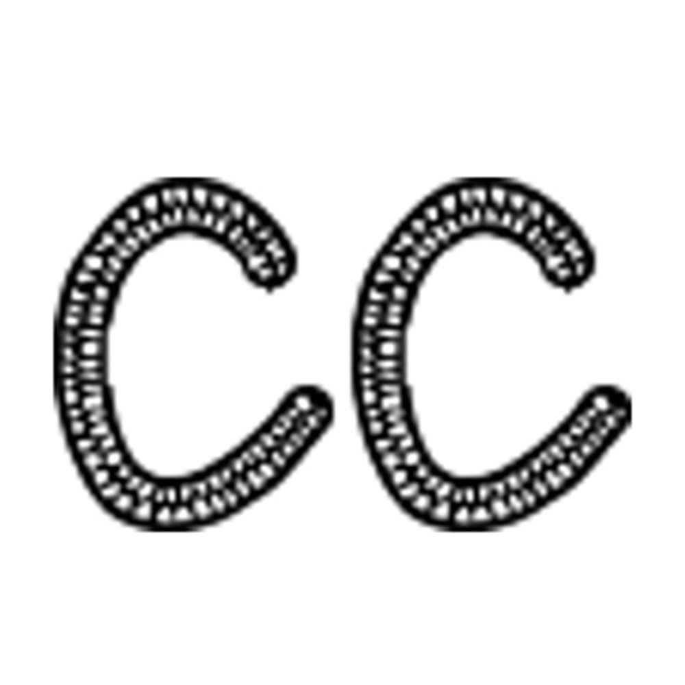 Carolyn Cardinet Art Logo