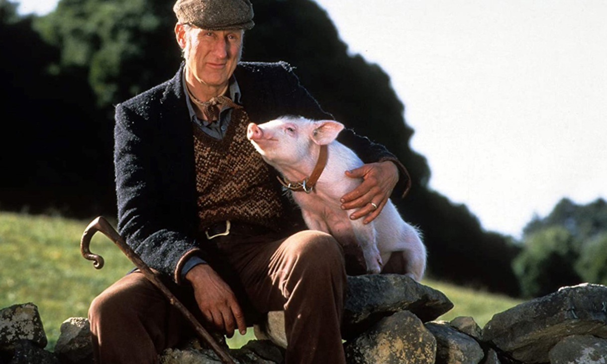 A farmer with his pig, Babe