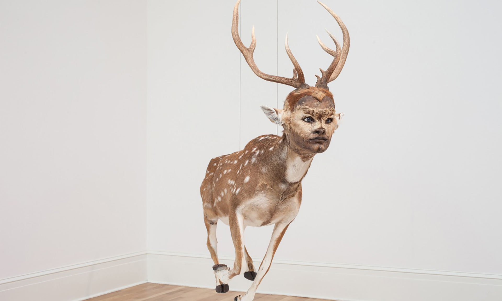 Image of a deer-human hybrid courtesy of the artist, Kate Clark.