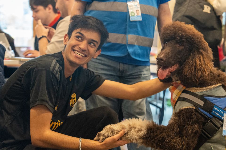 A student shaking hands with a dog. 