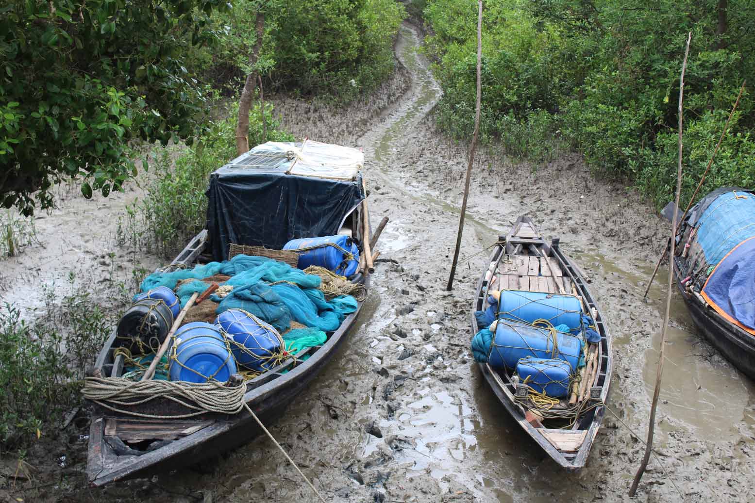 Pratyay Raha, Fieldwork in the Sunderbans 2