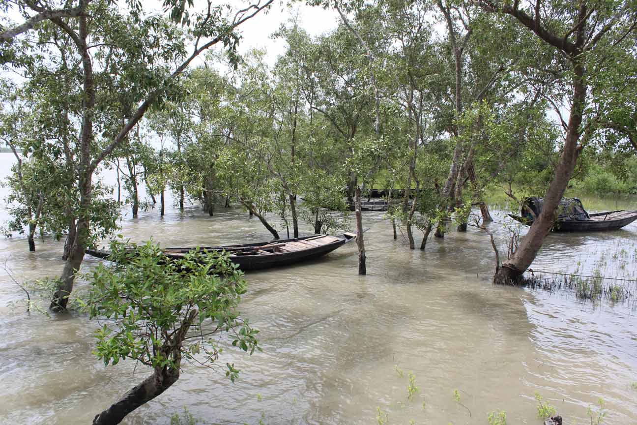 Pratyay Raha, Fieldwork in the Sunderbans 3