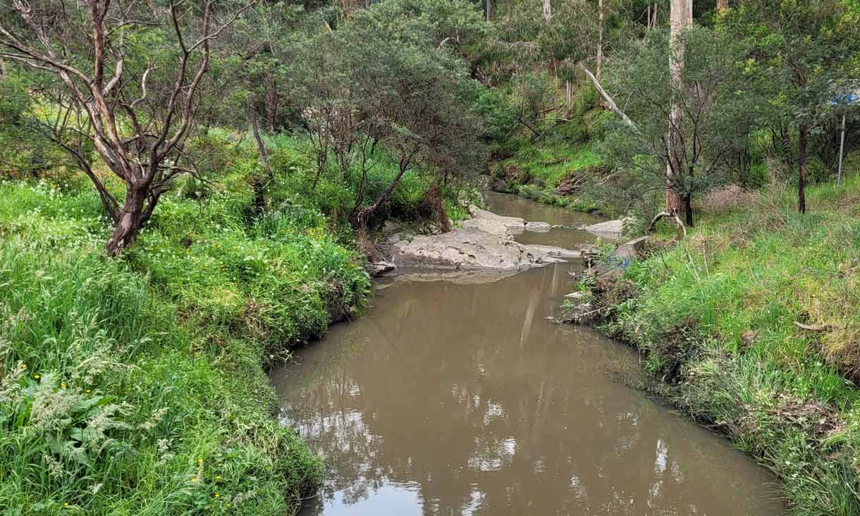 understanding-waterway-and-wetland-function-mullum-mullum-1220x732.jpg