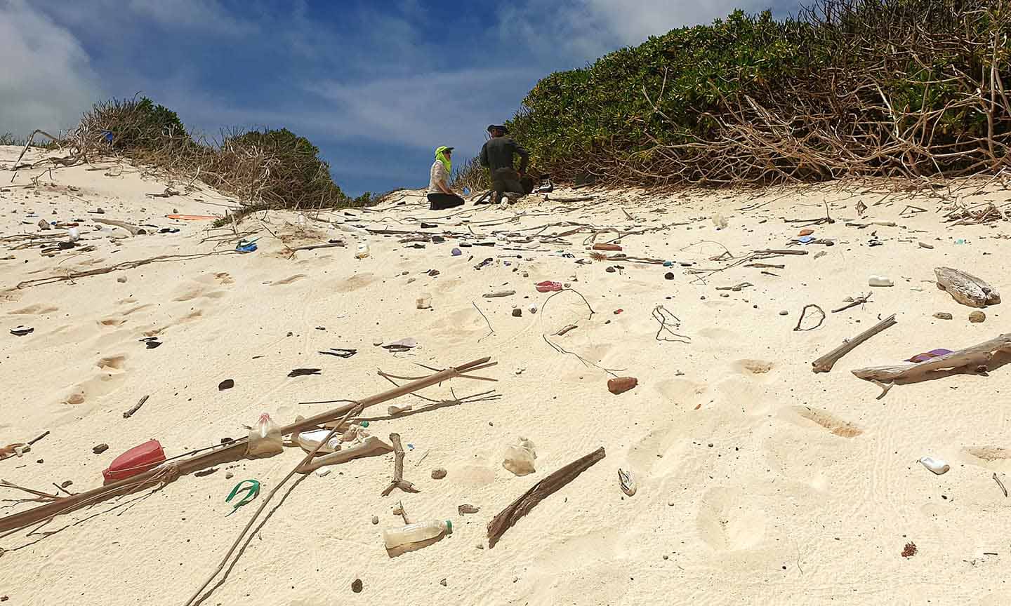 By spotting plastic on remote beaches, the technology could be used to help direct clean-up operations.