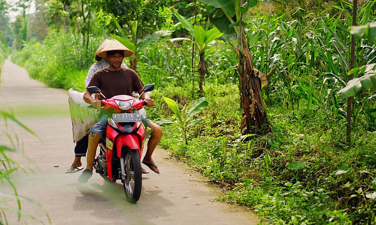 With his well-fitted prosthetic leg and the other support through RMIT initiative, Painu can tend to his fields and travel to local markets with confidence. Credit: Pusat Rehabilitasi YAKKUM